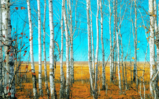 1722401 (a): :2560x1600